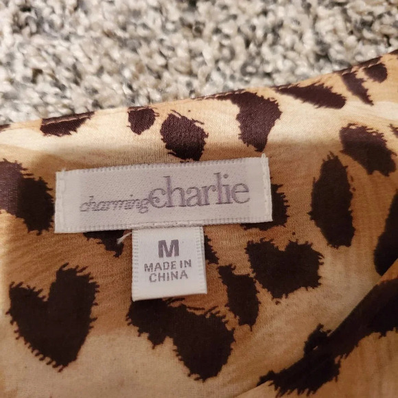 NWT Charming Charlie Leopard Print Long Sleeved Dress M - Picture 4 of 6